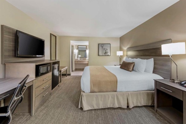 Best Western Plus Executive Inn image 10