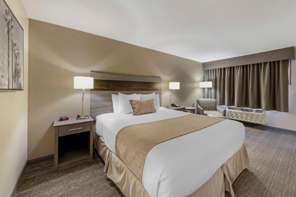 Best Western Plus Executive Inn image 28